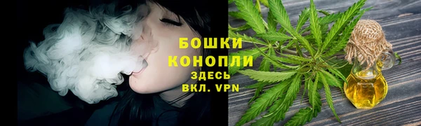 PSILOCYBIN Краснослободск